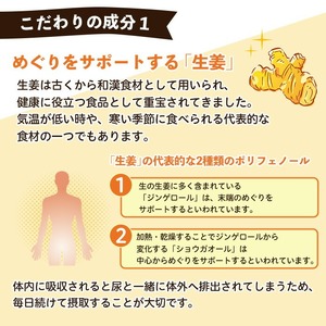 No.1293 てまひま にんにく卵黄生姜(1袋 62粒入り)  鹿児島 日置市 ニンニク 健康食品 栄養 元気 カプセル 安全安心 生姜 サプリ サプリメント 定期便 頒布会 【てまひま堂】