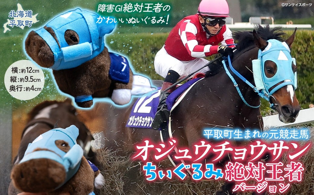 
            【オジュウチョウサン】ちぃぐるみ　絶対王者バージョン【ふるさと納税 人気 おすすめ ランキング 馬 競馬 競走馬 オジュウチョウサン 北海道 平取町 送料無料】 BRTV006
          