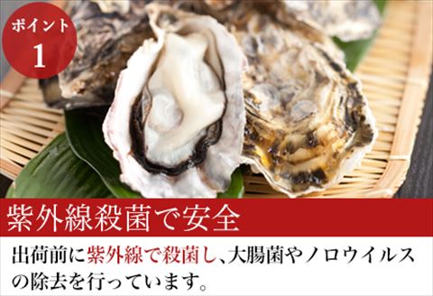 『予約受付』【令和6年1月10日から発送】いろは島の料理長が厳選！唐津産 牡蠣3kg ナイフ 軍手付 (加熱用殻付き) かき カキ 殻付き牡蠣 養殖 まがき 貝 海鮮 シーフード