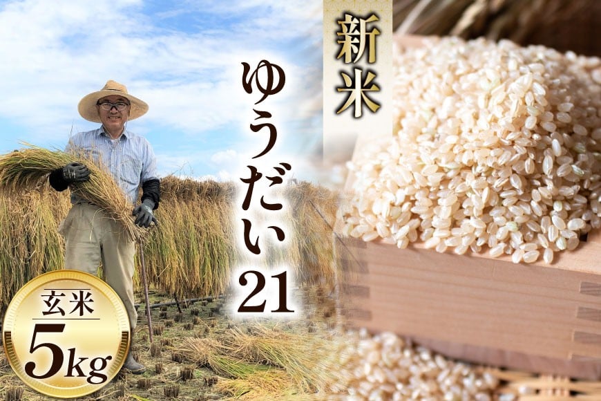 
            米 令和7年 ゆうだい21 玄米 5kg [穂足農園 山梨県 韮崎市 20745227] お米 玄米 ご飯 ごはん こめ コメ 美味しい 5キロ
          