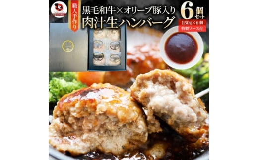 【ふるさと納税】黒毛和牛&オリーブ豚入り生ハンバーグ　特製ソース付　150g×6個セット 黒毛和牛 ハンバーグ オリーブ豚 国産牛 肉汁の滝 特製ソース ステーキソース ジューシー 濃厚 冷凍 香川県 おすすめ