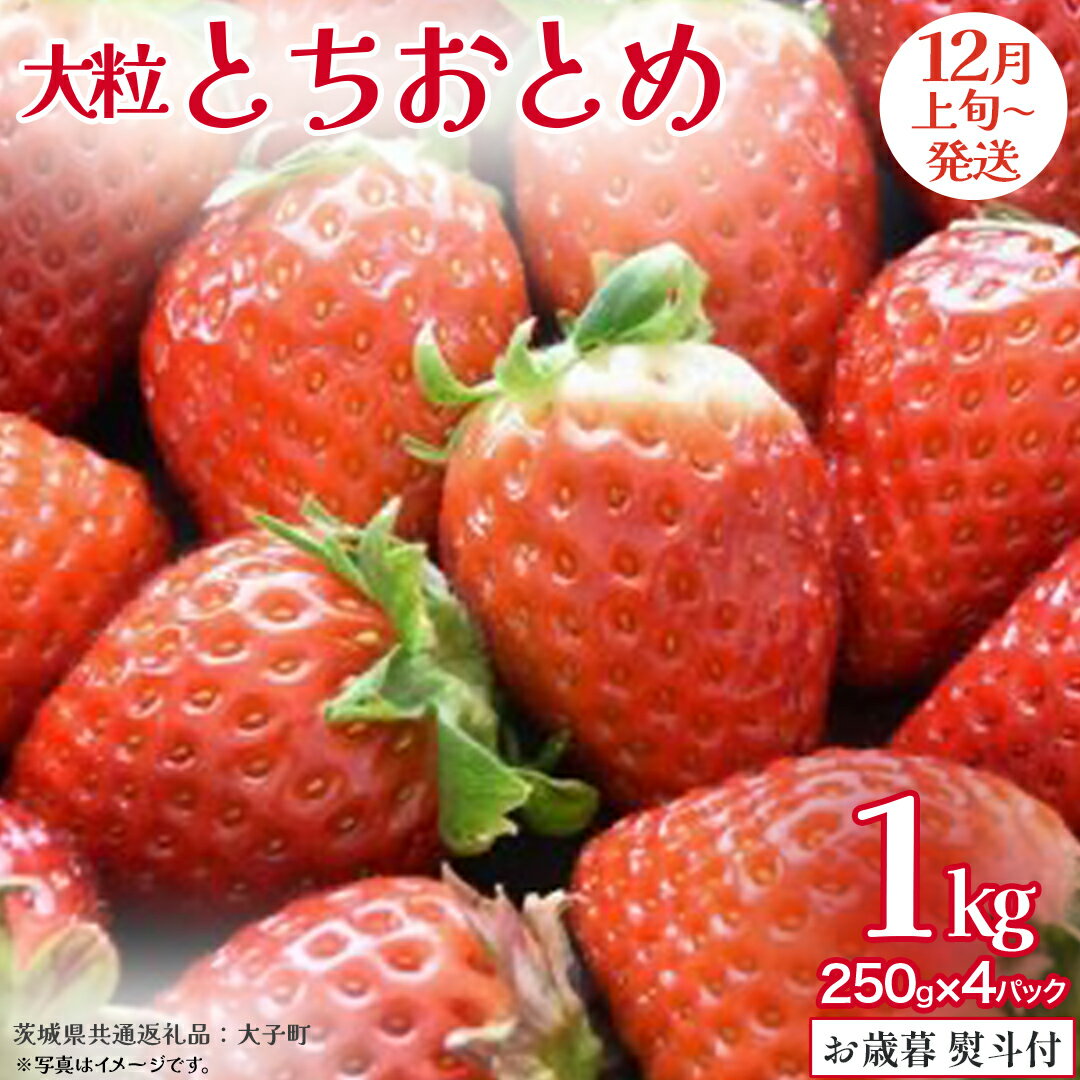 【ふるさと納税】【 お歳暮 熨斗付き 】 とちおとめ 250g（8～12粒）×4パック【2025年12月上旬発送開始】(茨城県共通返礼品：大子町) いちご 苺 果物 フルーツ 果実 贈答用 ギフト 贈り物