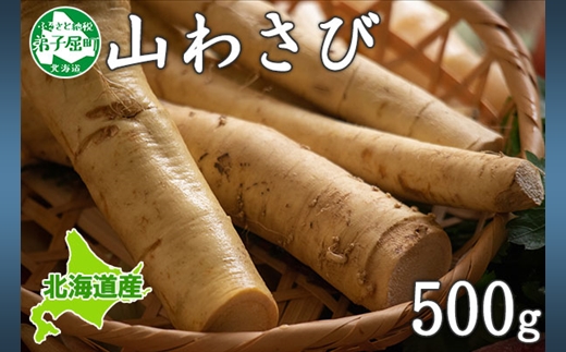 年内配送 12月15日まで受付 3166. 天然 山わさび 500g前後 産地直送 薬味 肉 BBQ バーベキュー 焼き肉 送料無料 北海道 弟子屈町