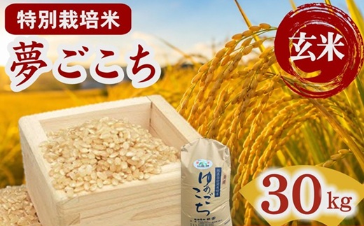 夢ごこち（特別栽培米）玄米 30㎏【002116D】