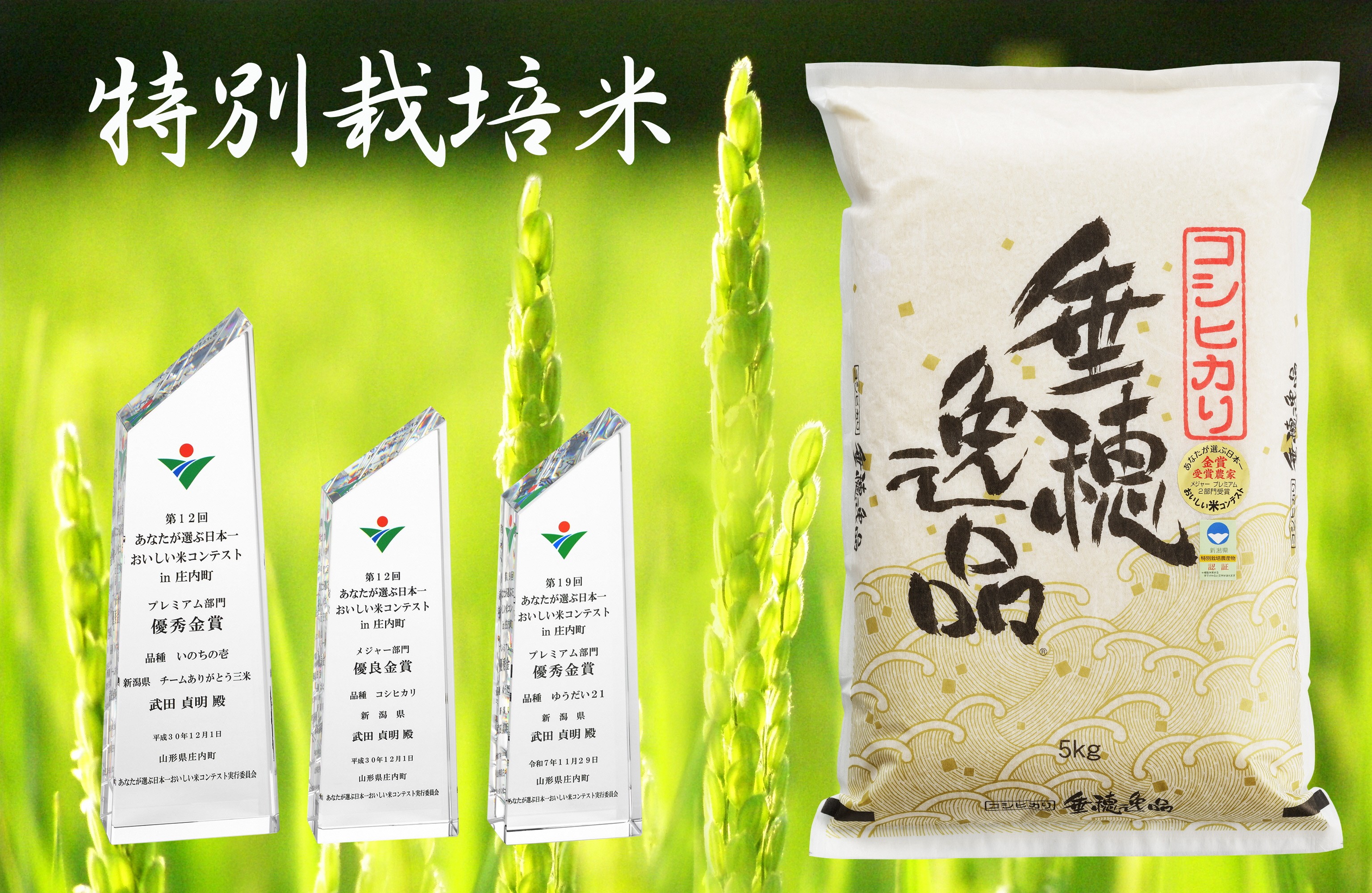 
                  【令和7年産】コシヒカリ 白米5kg × 3か月定期便 お米コンテストで金賞、武田農園の情熱米コシヒカリ FC039016
                