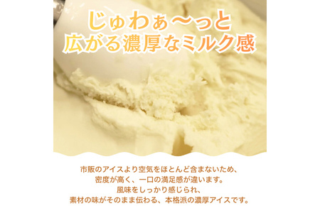 プロテインアイス あいすたんぱっくん しおみるく味 100ml × 12個  