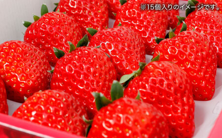 島根県松江市「のつ農園」　完熟いちご「福富アダージョベリー」　12個入り 島根県松江市/山陰中央テレビジョン放送株式会社[ALFI003]