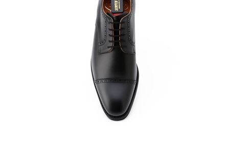 スコッチグレイン 紳士靴 「シャインオアレインIV」 NO.2773 メンズ 靴 シューズ ビジネス ビジネスシューズ ファッション 仕事用 パーティー フォーマル  23.5cm