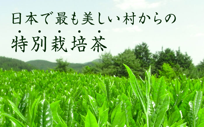 【奥八女星野村】八女茶 高級煎茶 深蒸し茶 100g×2袋＜株式会社ベネフィス＞那珂川市 [GED025]