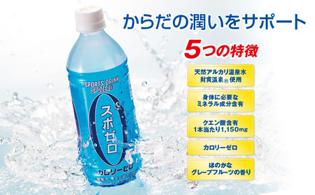 W-22174／財宝温泉のスポーツドリンク500ml×24本