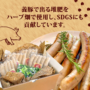 ハーブ ウインナー 20本 800g ローズマリー バジル 化粧箱入り 豚肉 おつまみ 豚肉 三元豚  ポタジェガーデン