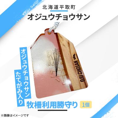 ふるさと納税 平取町 【競馬グッズ】【御守り】オジュウチョウサンたてがみ入り牧柵利用勝守り