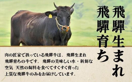 【訳あり】飛騨牛づくし定期便【2月・5月・8月・11月発送】 | 定期便 BV106