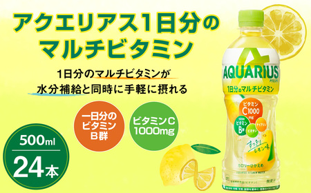 アクエリアス 1日分のマルチビタミン PET 500ml×24本 1ケース【コカコーラ】 水分補給 スポーツ飲料  清涼飲料水 常温 AQUARIUS 熱中症対策 送料無料 部活 少年団