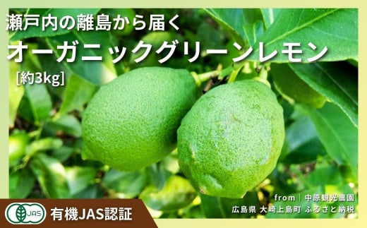 [予約] 10〜11月発送 大崎上島産 有機JAS認証！オーガニックグリーンレモン 約3kg