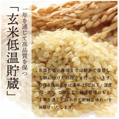 ふるさと納税 大潟村 【令和7年産】秋田県特別栽培米ミルキープリンセス無洗米10kg(5kg×2) |  | 03