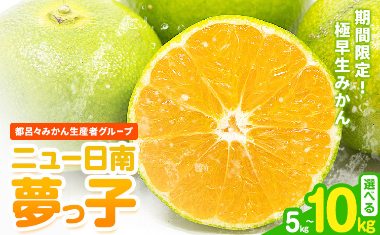
            みかん ニュー日南 (夢っ子) 選べる 5kg 10kg 都呂々みかん生産者グループ《9月中旬-10月上旬頃出荷》フルーツ 果物 くだもの 柑橘 柑橘類 蜜柑 熊本県 苓北町
          