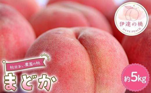 桃井あい農園の桃 まどか 約5kg（15~20玉）桃 もも モモ 果物 F21C-210