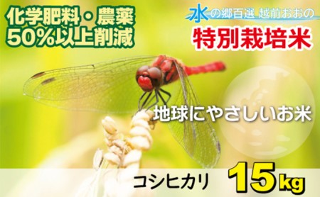 【令和7年産】こしひかり 15kg【白米】減農薬・減化学肥料 「特別栽培米」地球にやさしいお米[B-003006]
