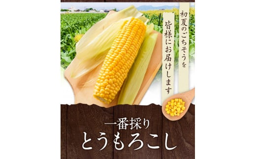 HIPHOP農家が作るとうもろこし（ゴールドラッシュ）約4kg  中村農園《6月上旬-7月上旬頃出荷》トウモロコシ スイートコーン---sh_cnkmrgr_ad6_22_12000_4kg---