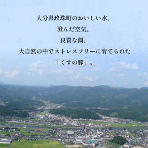 【訳あり】くすの豚 ４kg くすの豚 大分県 玖珠町 国産 豚肉 詰め合わせ セット ４kg 250g 小分け 真空パック 冷凍 訳あり 肉料理 焼肉 しゃぶしゃぶ 鍋料理 バラ 肩ロース ロース モ