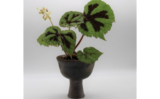 備前焼　足つき花ポット（登り窯焼成）