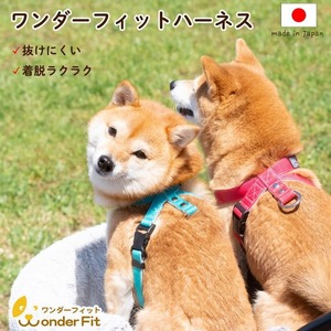 ハーネス 抜けにくい 嫌がらない 簡単装着 着脱らくらく 調整可能 34－100g ／ 犬用 胴輪 お散歩 安心設計 抜けない 脱げない 外れない ワンタッチ 簡単装着 ペットグッズ ペット用品 おしゃれ 可愛い プレゼント 贈り物 てるべる 埼玉県 No.317
