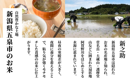 【令和7年産】 新之助 精米 3kg (1kg×3袋) 新潟県 五泉市 有限会社ファームみなみの郷