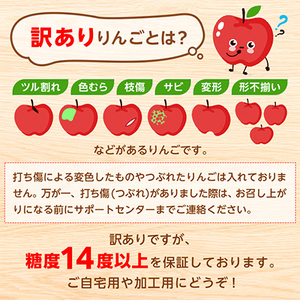 「王林」約3kg・糖度14度以上保証・訳あり家庭用りんご_果物・フルーツ りんご  リンゴ 林檎_【配送不可地域：離島・沖縄県】【1106864】