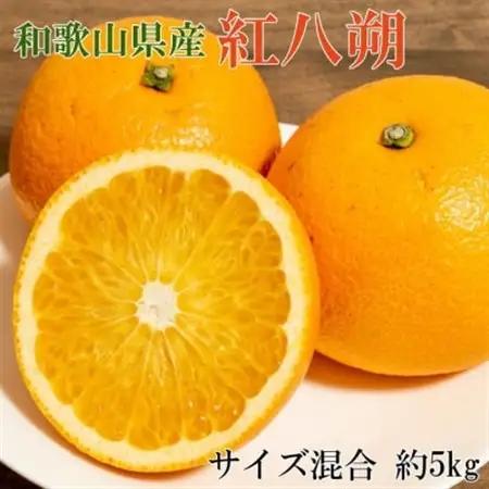 【希少品種】和歌山県産紅八朔約5kg(サイズ混合)(日高町)【1485803】