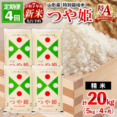 ふるさと納税 山形市 【12月開始】定期便4回 令和7年産 新米 山形産 特別栽培米 つや姫 5kg×4 FZ25-087