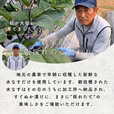 水なす 浅漬け 泉州特産 ぬか漬け 3個入り【配送不可地域：離島】
