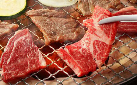 【12ヶ月定期便】あか牛焼き肉用カット（バラ、ロース） 約500g 計約6,000g 赤牛 あか牛 牛肉 熊本 バラ ロース カット肉 定期便 熊本県 西原村 冷凍