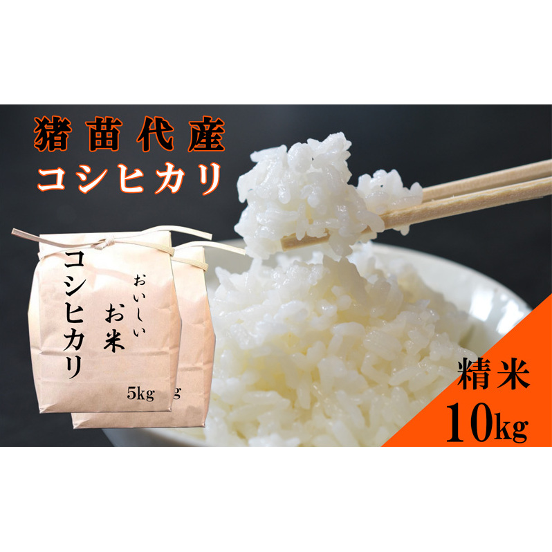 米 令和6年度産 新米 コシヒカリ 10kg  白米 精米 新米 生産者直送 直送