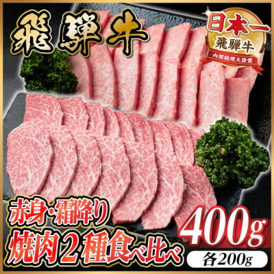【ふるさと納税】飛騨牛 赤身・霜降り焼肉2種食べ比べセット(ヒレ・三角バラカルビ)　約400g(各200g)タレ付き【配送不可地域：離島】【1745778】