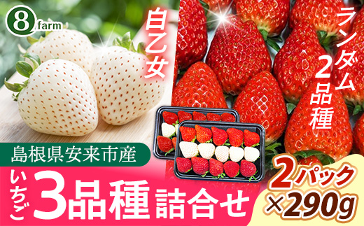 【先行予約】イチゴ「三品種詰合せ」２パック（白イチゴ入）【 約290g×2パック 白乙女 おまかせ 3品種 食べ比べ いちご 苺 ストロベリー 冷蔵 安来市産】【11-FA-15】 イチゴ「三品種詰合