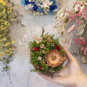 クリスマス ブッタナッツアレンジメント LN