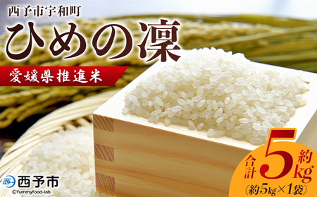 ＜愛媛県推進米 ひめの凜 約5kg＞ 5kg お米 コメ こめ 白米 精米 ご飯 ライス 穀物 ひめのりん ヒメノリン ヒメノ凜 ブランド米 大粒 ツヤツヤ 特産品 愛媛県産 西予市産 宇和町産 三好フク 愛媛県 西予市 【常温】『1か月以内に順次出荷予定』UMH0008