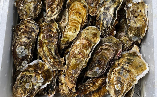 ＼先行予約／北海道 仙鳳趾名産 牡蠣 100g〜149g×70コ かき漁師直送 K5-4＜出荷時期：2024年5月20日以降順次出荷＞＜センポウシ : 釧路町の東 厚岸湾の西 カキの名産地＞