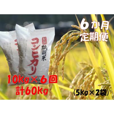 ふるさと納税 阿賀野市 【令和7年産】【6ヶ月定期便】新潟産コシヒカリ瓢湖米　10kg×6回