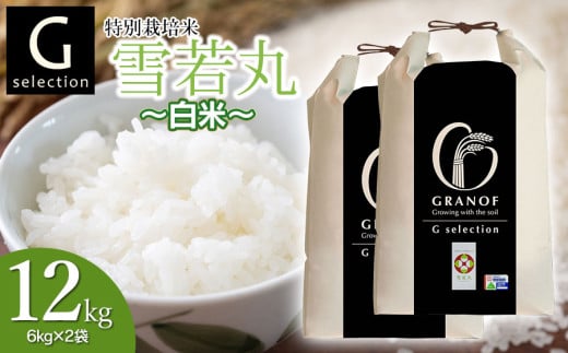 【令和7年産先行予約】 特別栽培米 Gセレクション 雪若丸 【白米】 12kg (6kg×2袋) 山形県鶴岡市産　株式会社グラノフ
