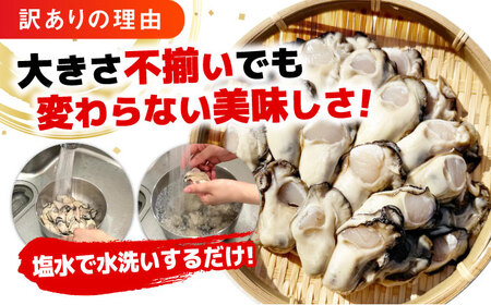 【生牡蠣】【訳あり】 広島牡蠣 むき身1kg 牡蠣 かき 魚介類 料理 簡単 江田島市/株式会社門林水産[XAO022]