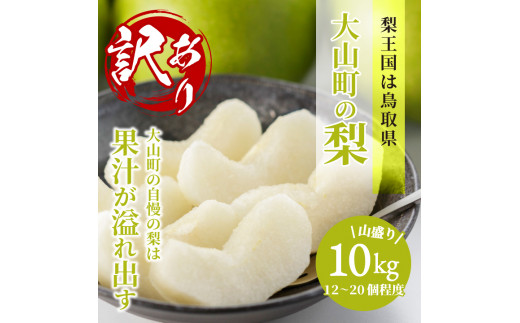 DS-25　訳あり梨 10kg