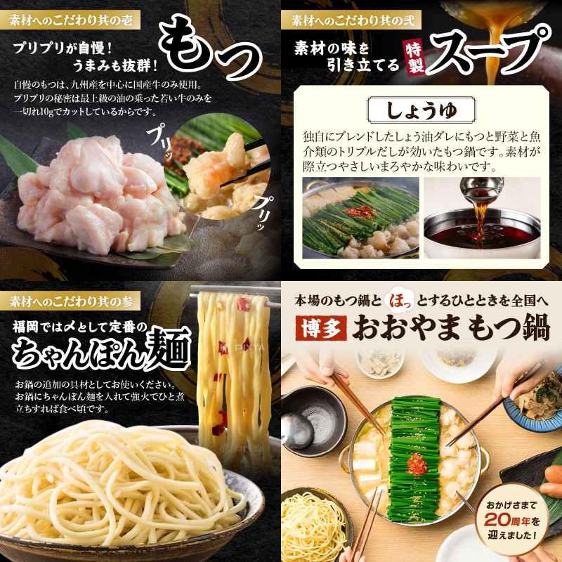 博多名物もつ鍋バラエティセット【隔月定期便(計6回発送)】_イメージ2