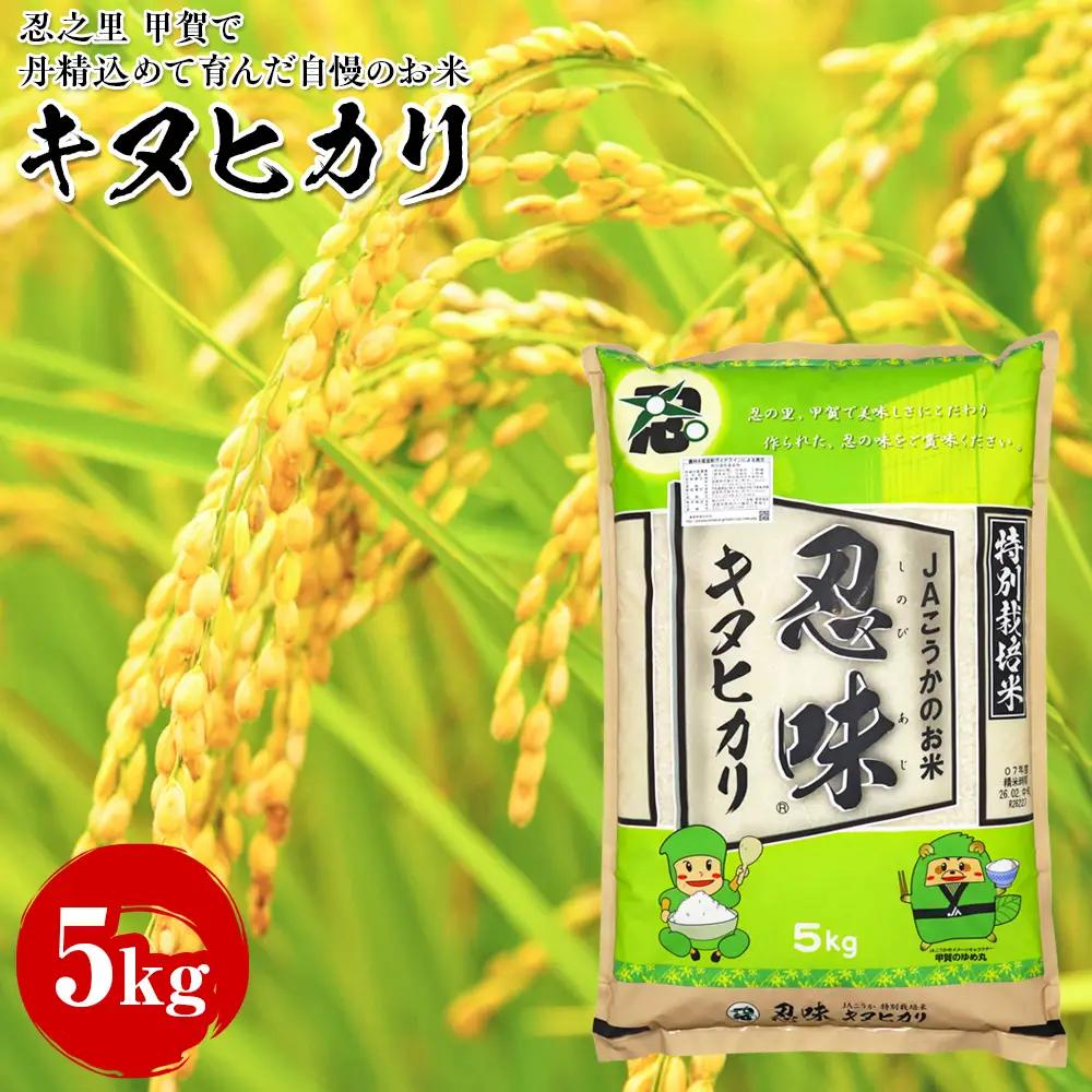 キヌヒカリ 5kg 甲賀で丹精込めて育んだ自慢のお米
