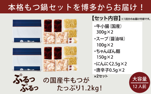 【定期便】やまや 博多 もつ鍋セット　牛もつたっぷり1.2kg！12人前 先行予約2023年3月1日以降順次出荷　EY013