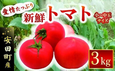 【トマト】3kg 新鮮 トマト 安田町 TR-04