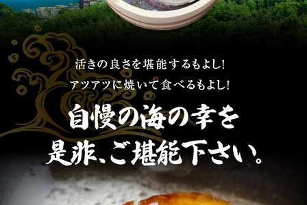 S002-021_【期間限定】大容量！天草の旬！バーベキューセット　約6人前