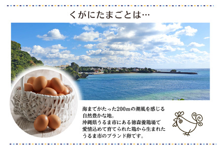 くがにたまごのバスクチーズケーキ_OS186-0001