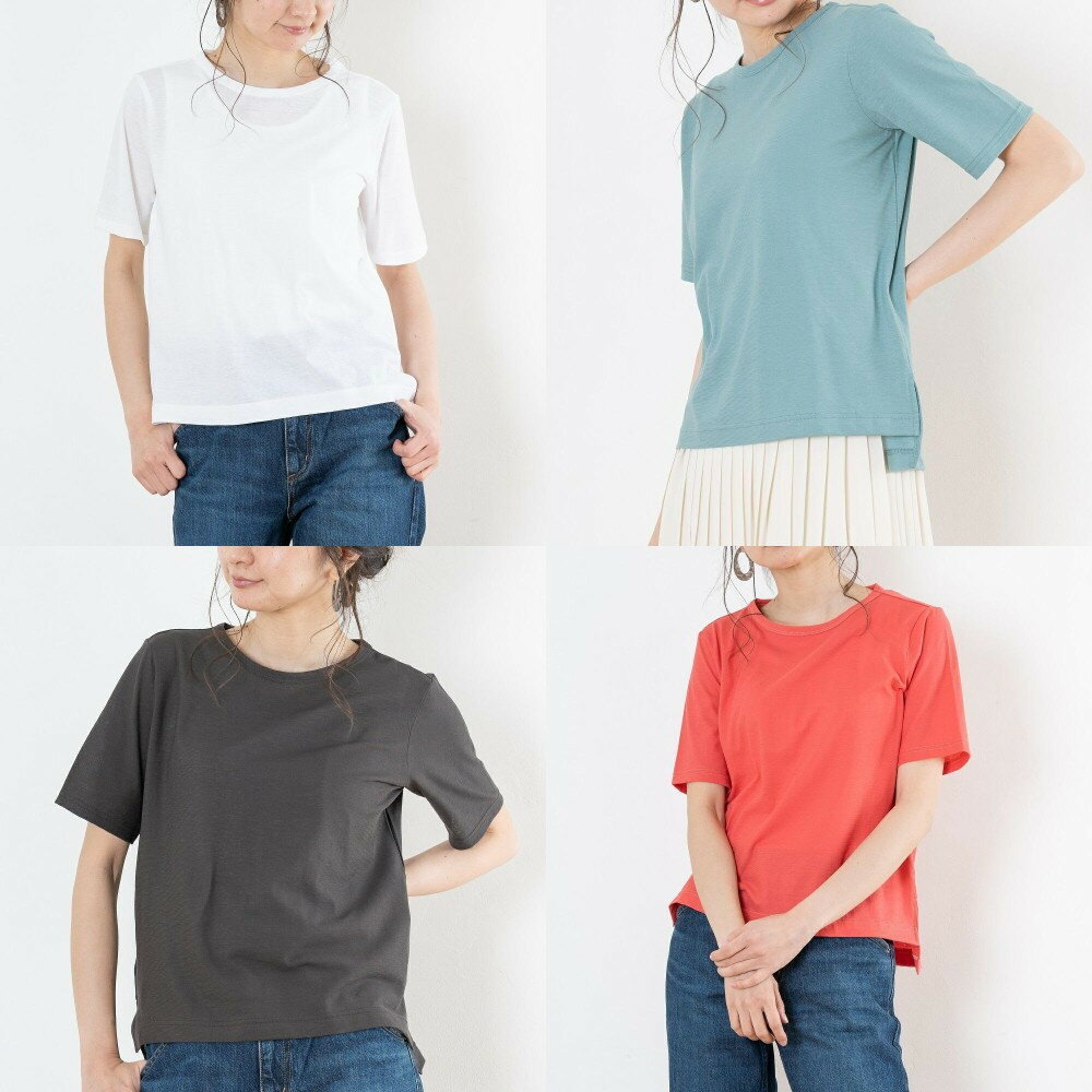 【ふるさと納税】レディースカットソー 半袖【オフホワイト・グリーン・モカチャコール・ローズピンク】